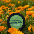 Calendula Healing Salve